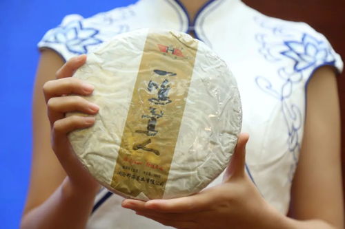 2020 茶汇冀都 茗香满溢 石家庄专场品鉴会圆满举行