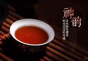 话春茶业 简素如茶的幸福