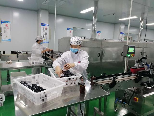 商南培育农产品深加工企业 延长农特产品产业链|茶叶|商南.