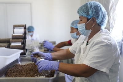 同济高材生种田卖货 5个月长成苏宁拼购明星店