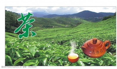 布茶图片素材