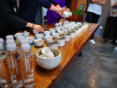 隆沁苑茶业春天里的第一场盛宴