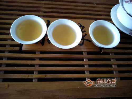 2019年本木古茶业古小白美人珠白茶 一款不错的白茶