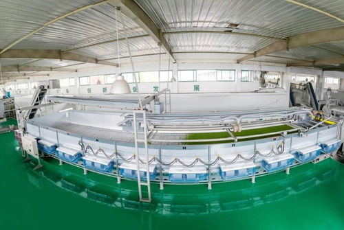 山南茶区，珍品辈出 宜昌茶产业介绍