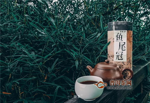 翠竹随风乐，尾鱼逐水流——巅茶茶业的文化与自然之美