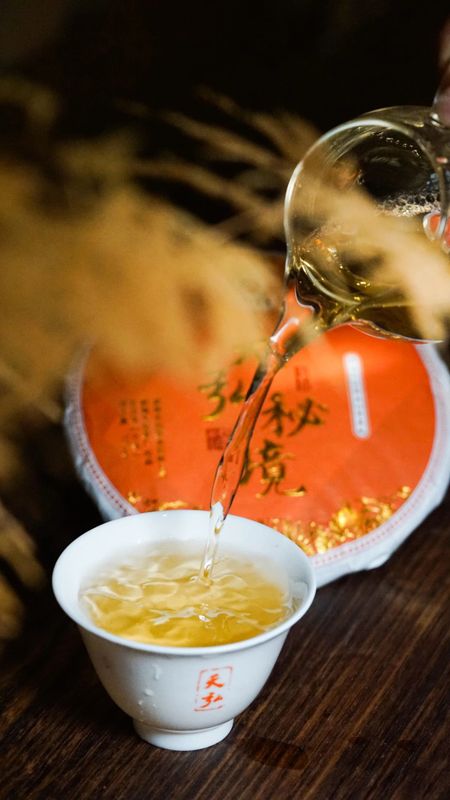 天弘茶业基地高端古树茶隆重上市